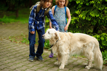Little schoolchildren met on the way to school a large dog.