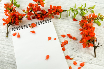Composition of red flowers and a notebook for notes on a wooden table.