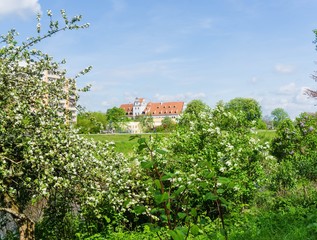 Frühling am Schloss Osterstein