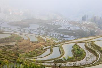 Morning fog over rice terraces in Yuanyang UNESCO site, China