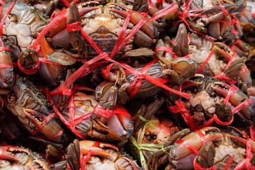 Crab is expensive seafood.