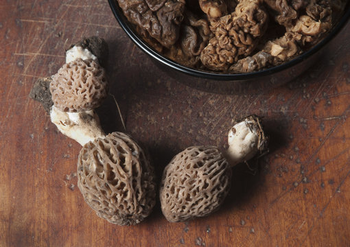 Morel fungus boiled