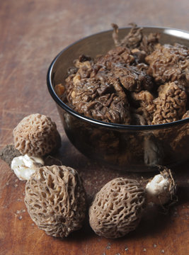 Morel fungus boiled