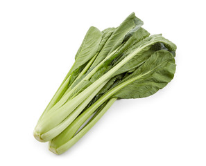 小松菜　(影イキ、背景白飛ばし)