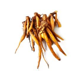 Galingale, Boesenbergia rotunda on white background, Spicy vegetables and herbs are good for health