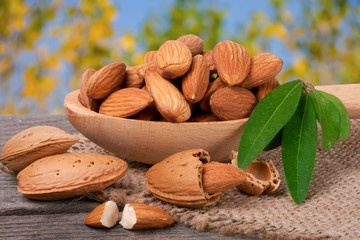 heap of peeled almonds with leaf in a wooden spoon on table blurred garden background