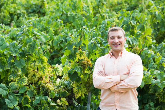 Man Farmer Standing Near Wine Grape And Leaves