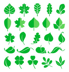 Growing plants. Leaf and grass shoots. Vector illustration in flat style