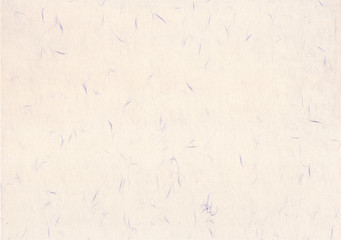 紙　テクスチャー