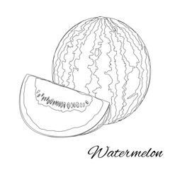 Watermelon. Page for coloring book. Doodle design. Vector illustration.