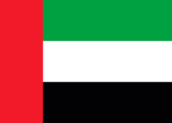 Fototapeta premium Emirates national flag. vector illustration. business education