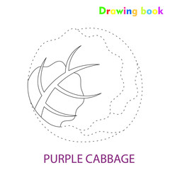 Purple cabbage coloring and drawing book vegetable design illustration 