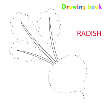 Radish coloring and drawing book vegetable design illustration 