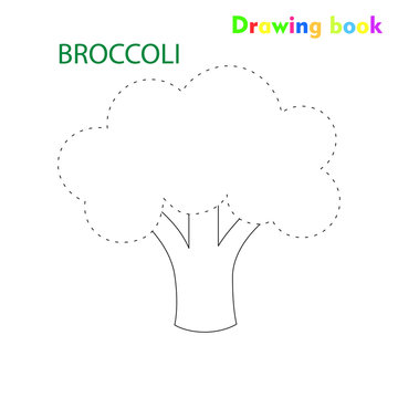 Broccoli coloring and drawing book vegetable design illustration 