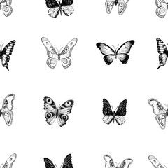 Vector retro hand drawn seamless vector pattern with beautiful butterflies on a white background. Vintage illustration