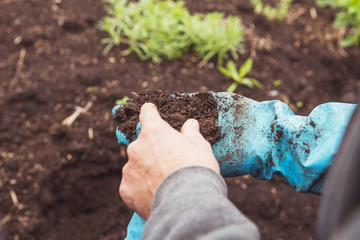 soil quality and farming