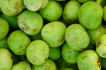 Round Gourd