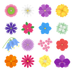 Set of colorful Paper Flowers white background. Vector eps 10 format.