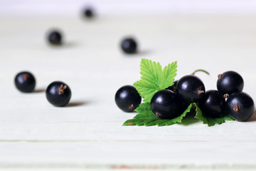 black currant berry background