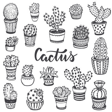 Collection of hand drawn cactus in sketch style.