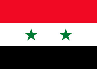 Syria national flag. vector illustration. business education