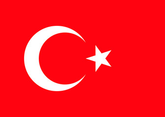 Turkey national flag. vector illustration. business education