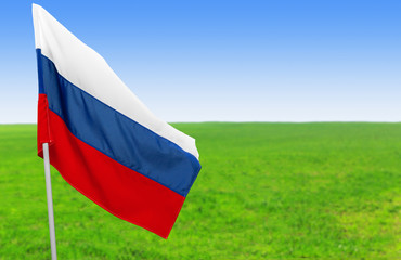 Summer meadow in nice day