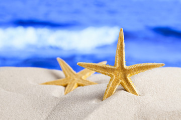 Fototapeta na wymiar Starfish on sea background