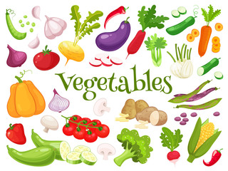 Set of fresh vegetables for your design