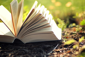 open book with flower on grass
