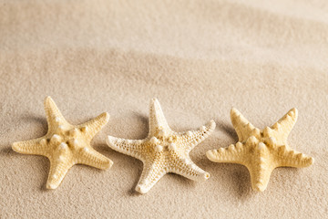 Fototapeta na wymiar Three starfish on sand