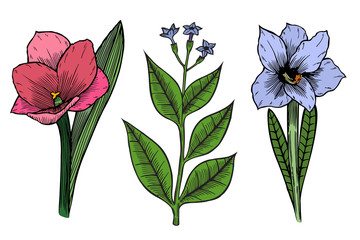 Set of vector flowers