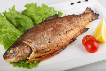 Grilled trout