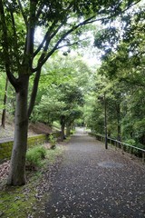 多摩の散歩道