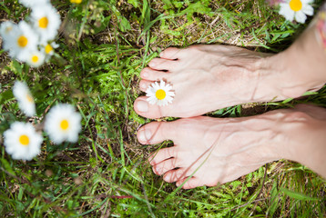 Feet in daisy field - 152298900
