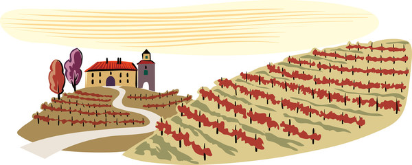 hilly landscape, cultivated vineyards.