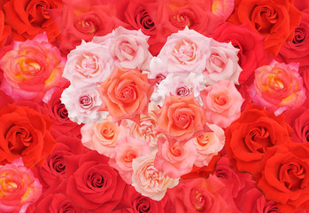 rose heart shape background