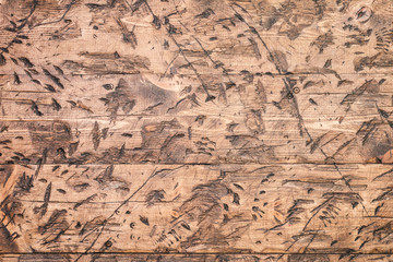 Old natural wooden background