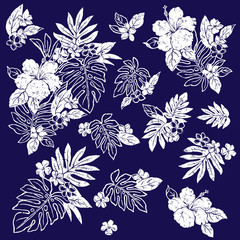 ハイビスカスのイラスト