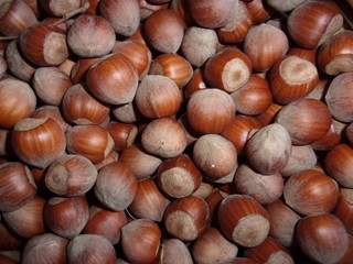 NOCCIOLE
