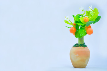 Orange tree plastic,select focus