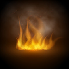 Camping fire background