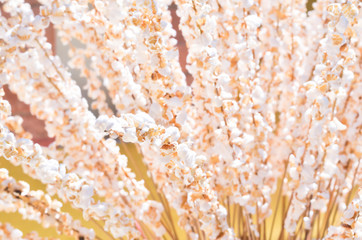 popcorn line in Thailand style