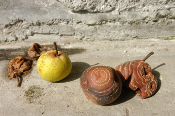 Apples
