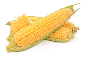 Corn on a white background