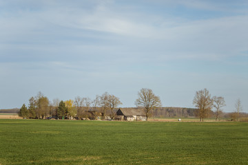 Fototapeta na wymiar A beautiful spring landscape in a sunny day in Northern Europe