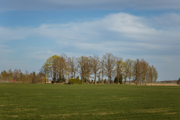 Fototapeta na wymiar A beautiful spring landscape in a sunny day in Northern Europe
