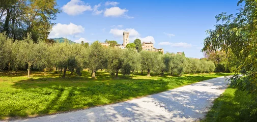 Photo sur Aluminium Tour de Pise Panoramic photo of the famous medieval citadel of Vicopisano (Italy - Tuscany - Pisa).
