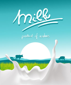 blue milk design with milk splash, farm animal and sunset - vector illustration