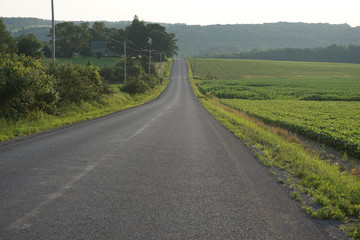 Fototapeta premium road with field